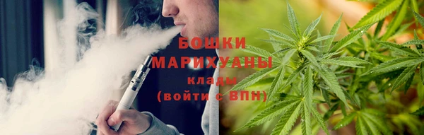 гашик Горняк