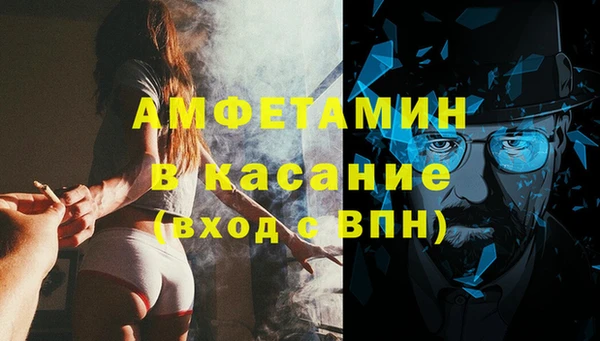 дмт Вяземский
