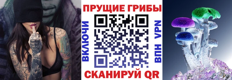 Галлюциногенные грибы GOLDEN TEACHER  блэк спрут ONION  Дно 